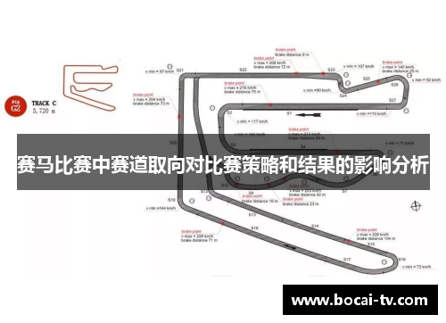 赛马比赛中赛道取向对比赛策略和结果的影响分析